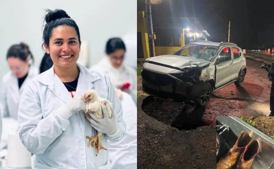 Estudante de medicina veterinária morreu atropelada na BR-269. Foto: Reprodução/Redes Sociais/Ubicast Ubiratã