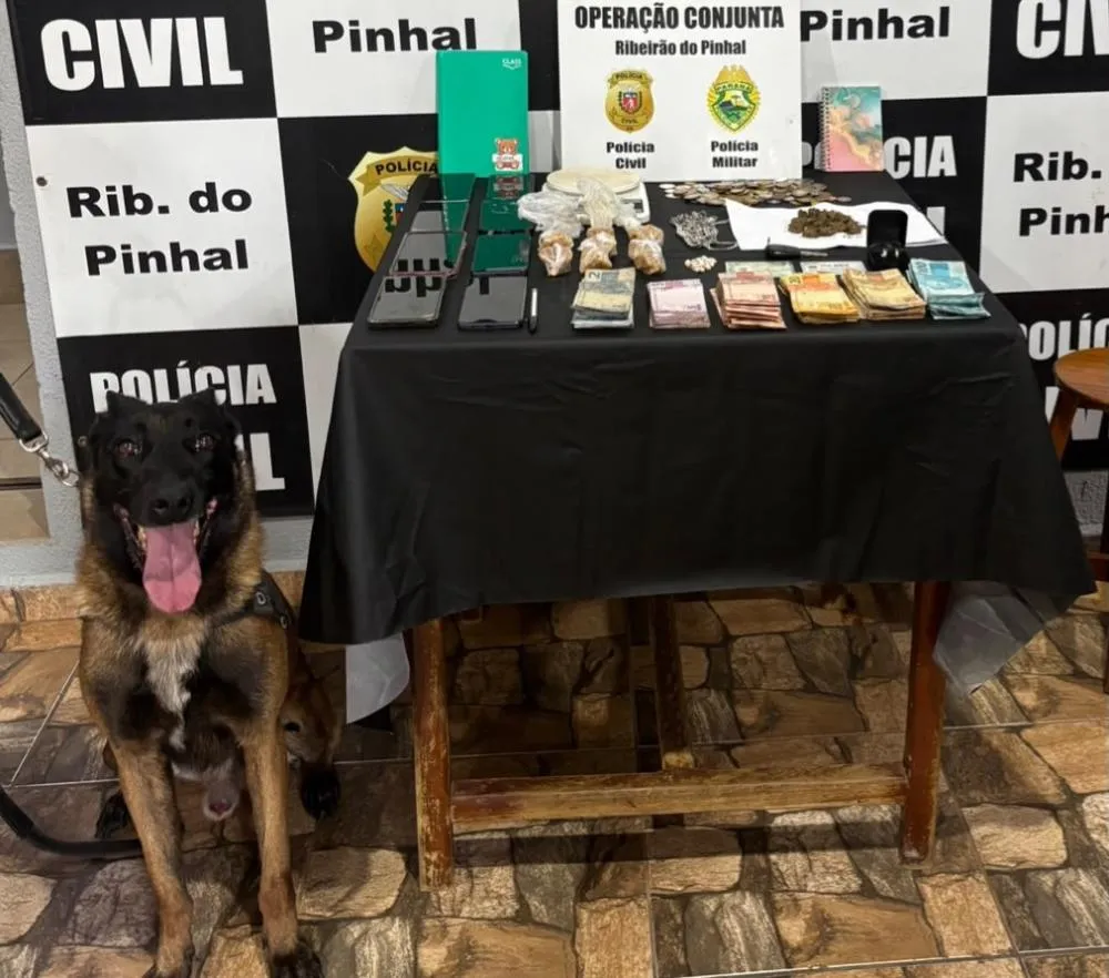 Fotos - Divulgação