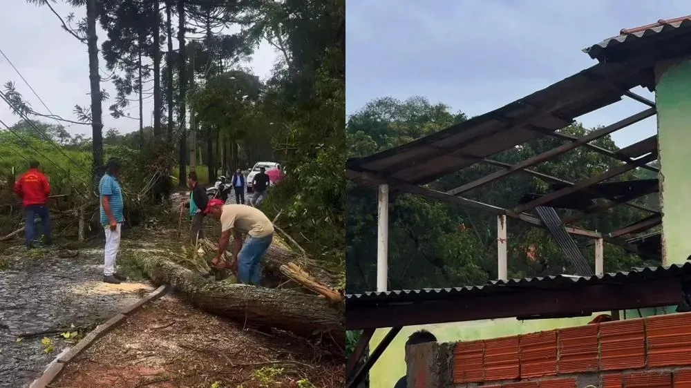 Foto - Divulgação