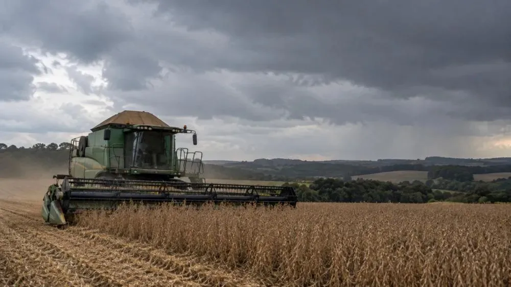 Chuvas intensas voltam a atingir o Norte Pioneiro e preocupam produtores rurais com lavouras