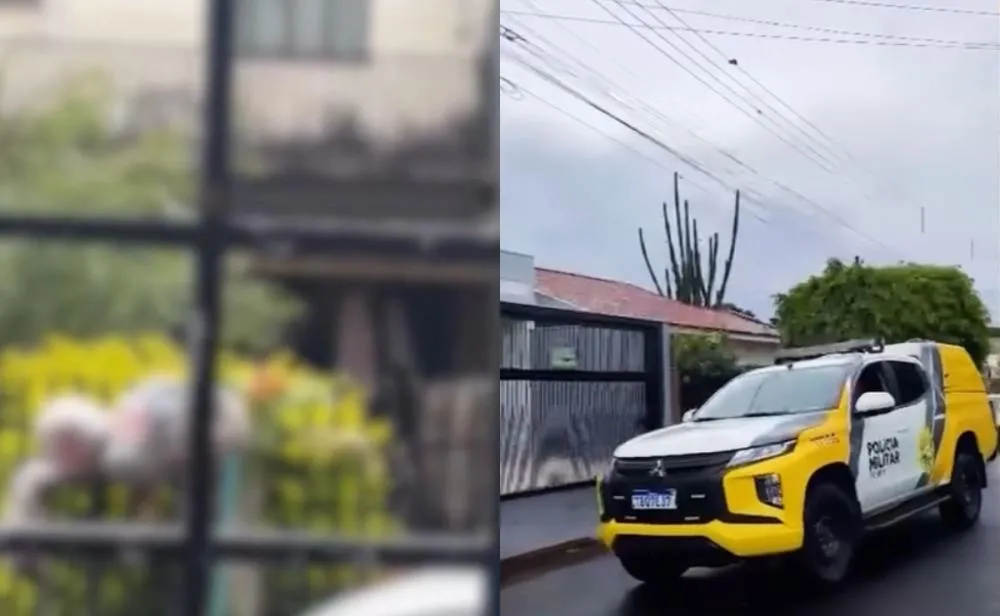 Cadeirante é agredida com cabo de vassoura pela própria filha; suspeita é presa em flagrante